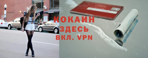 трава Белокуриха