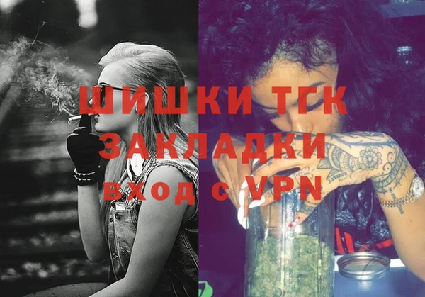 шишки Богородицк