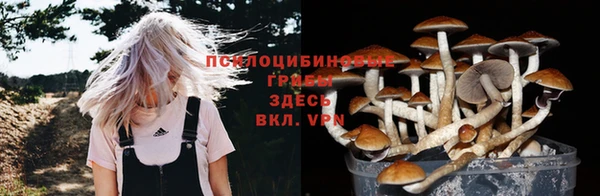 таблы Белоозёрский